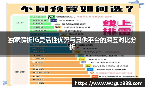 独家解析IG灵活性优势与其他平台的深度对比分析