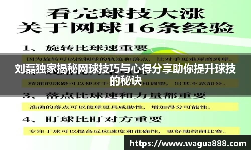 刘磊独家揭秘网球技巧与心得分享助你提升球技的秘诀