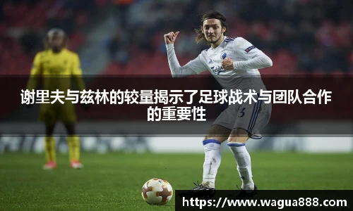 雷火·竞技(中国)